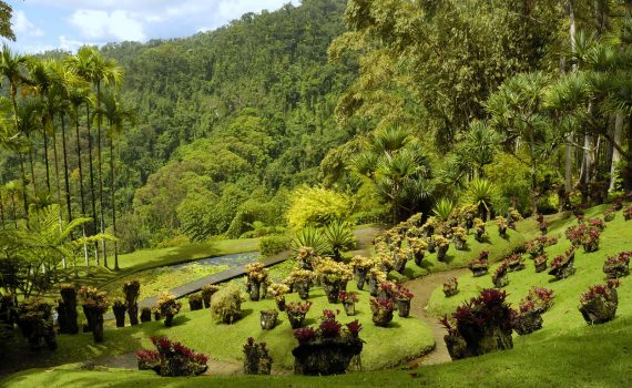 Martinique jardin Balata